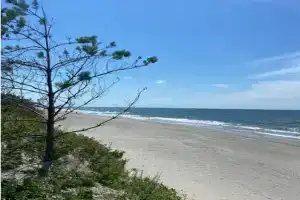 Вилла Шторм, Донское