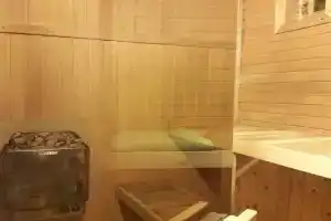 Дом с финской сауной