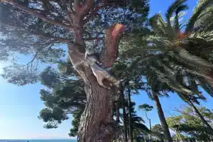 2-комнатная квартира в центре Очамчиры