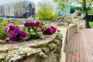 2-комнатная Квартира с историей и комфортом в самом центре Калининграда.