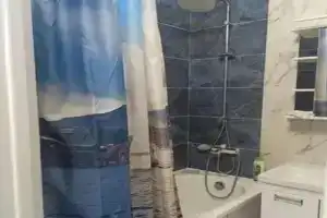 1-комнатная квартира, Путилково