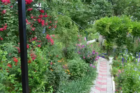 Гостевой дом на Мира - 13