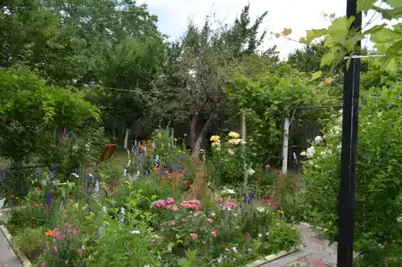 Гостевой дом на Мира - 14