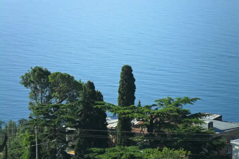 1 км.кв. в частн секторе Алупки - 1