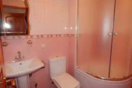 Дельфин - 13