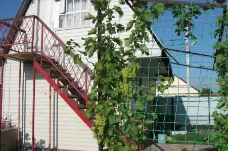 Мансарда - 0