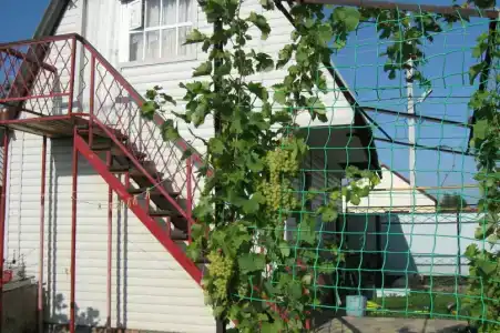 Мансарда - 3