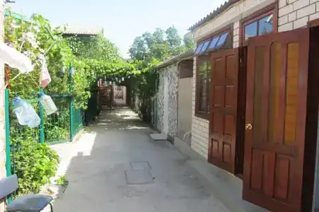 Отдых у Ируши - 10