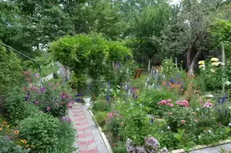 Гостевой дом на Мира - 33