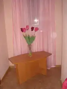 Радуга - 29
