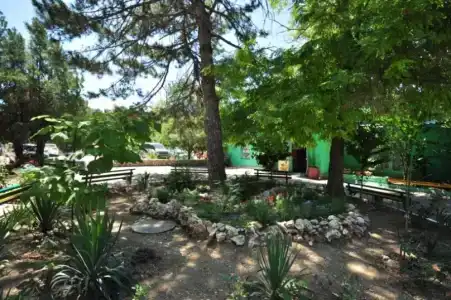 Южная Жемчужина - 19