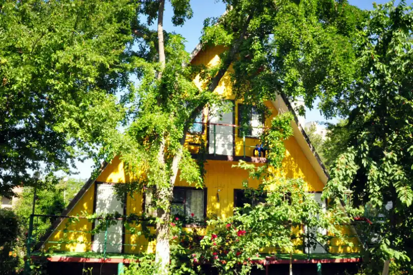 Южная Жемчужина - 33