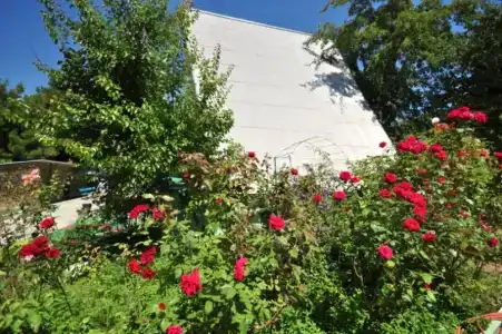 Южная Жемчужина - 40