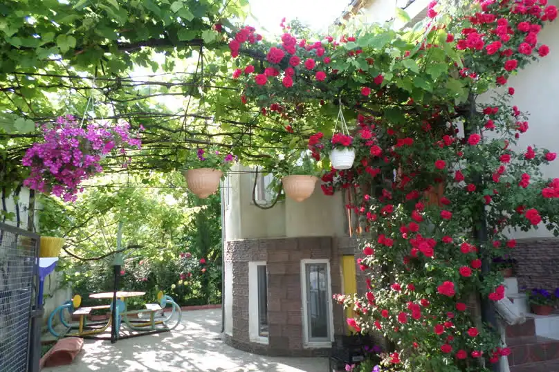 Сказочный - 5