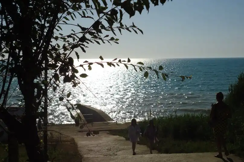 Сказочный - 6