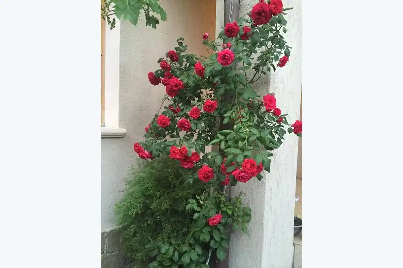 Гостевой дом на Чкалова - 1