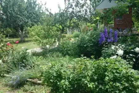 Гостевой дом на Мира - 15