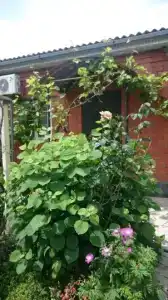 Гостевой дом на Мира - 34