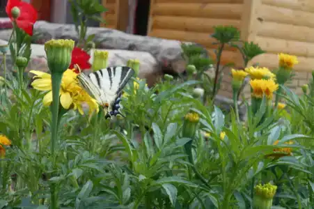 Мини-гостиница у Кристины - 2