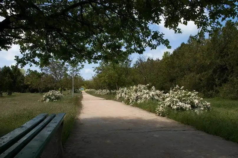 Сказочный - 10