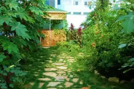 Аква Бриз - 3