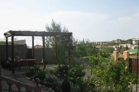 Мечта - 5