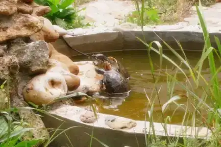 У Маргариты - 9