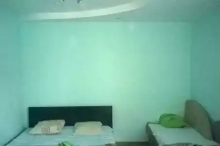 Частный дом на Просмушкиных 45 - 0