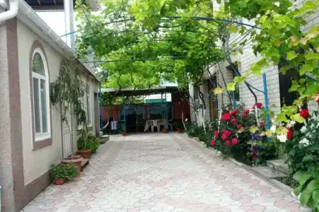 У Нели - 2