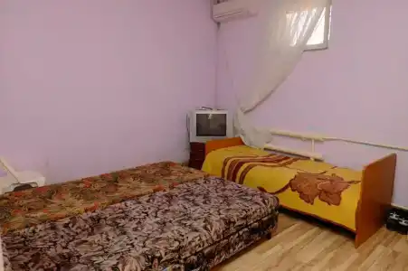 Елена на Ботылева - 36
