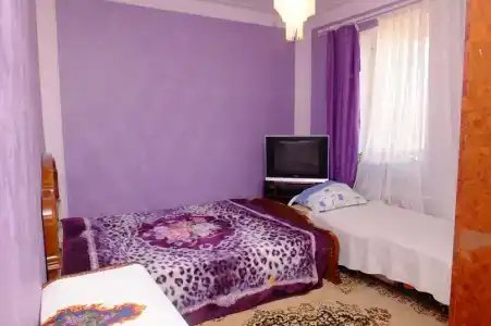 Елена на Ботылева - 40