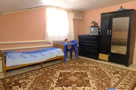 Елена на Ботылева - 51