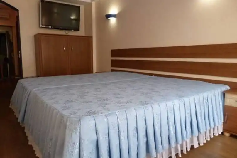 Виват - 1
