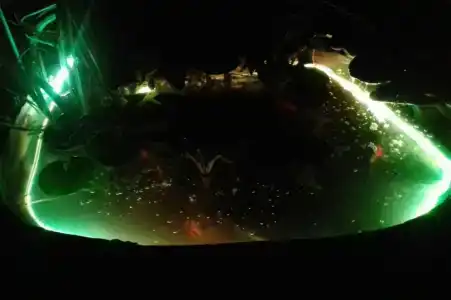 У Маргариты - 11