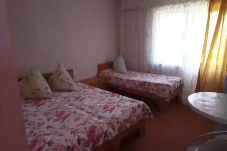 У Нели - 77