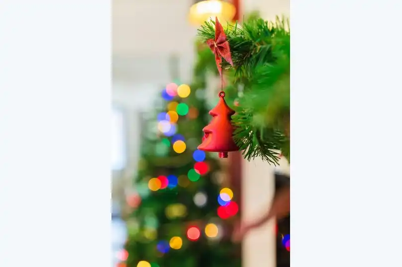 Утро в горах - 11