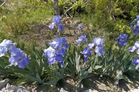 Зеленый Дом - 2