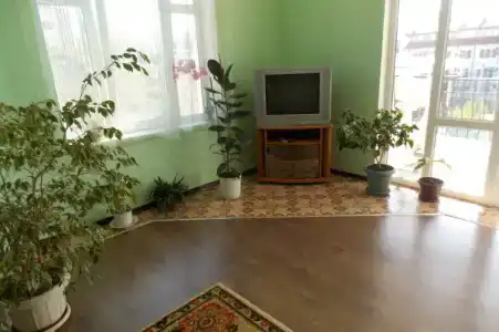 Зеленый Дом - 33