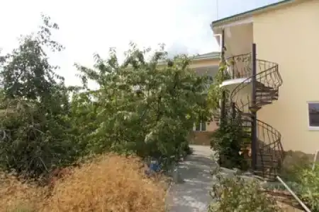 Зеленый Дом - 41