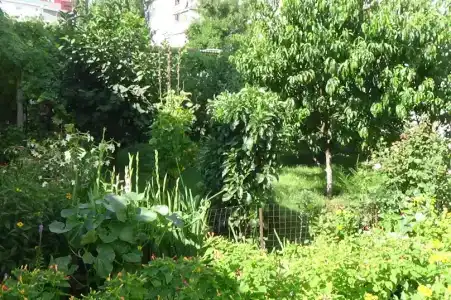 Солнышко - 4