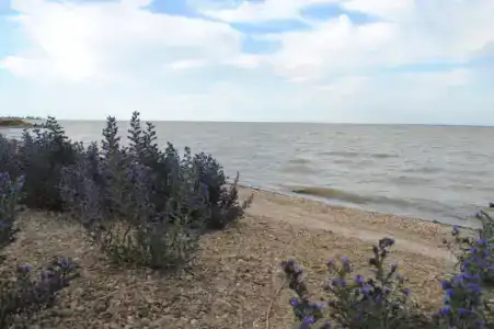 Гостевой дом на берегу лимана - 4