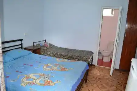 Аист - 48