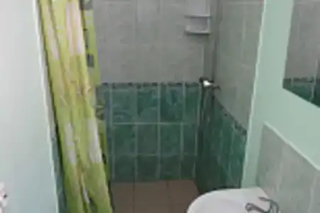 Аист - 46