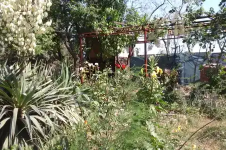 У Маргариты - 13