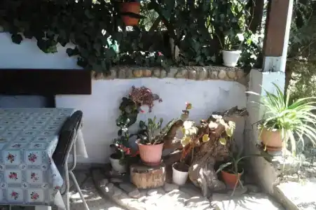 У Маргариты - 14