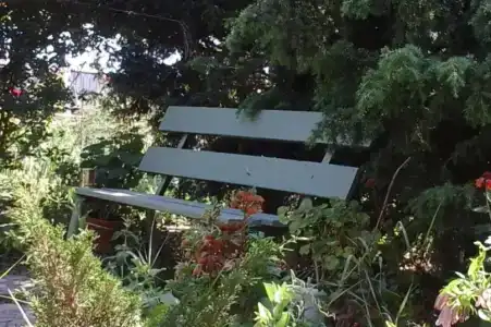 У Маргариты - 15