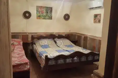 Магнолия - 10