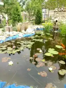 Крымский бриз - 31