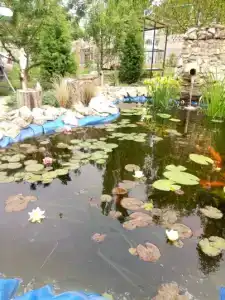 Крымский бриз - 36