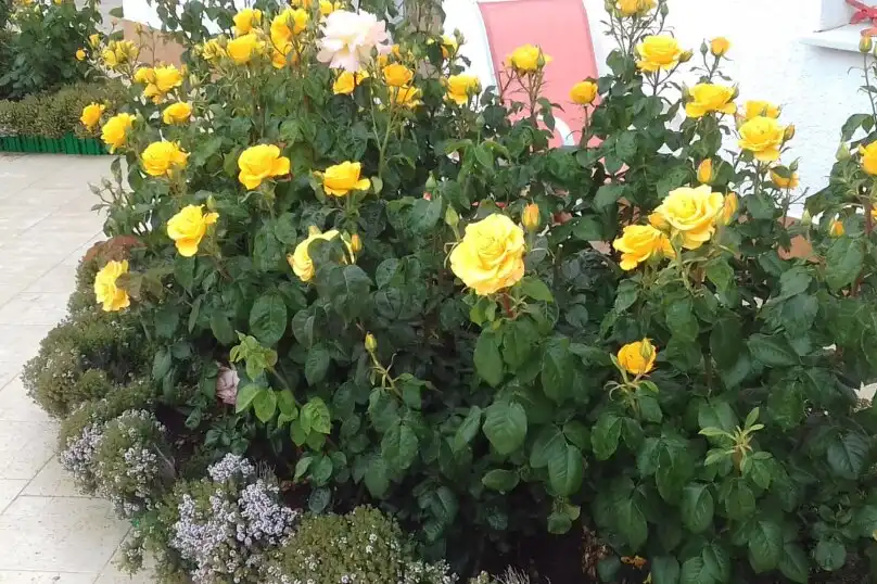 Holiday Home Италия - 23